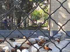 -银川动物园