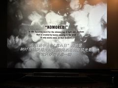 -深圳百老汇电影中心(IMAX万象天地店)