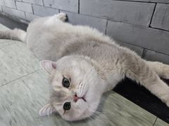 -星光摄影器材城