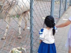 -长白岛森林公园