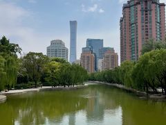 -团结湖公园