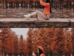 -白鹭湾湿地公园