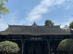 -桂湖森林公园