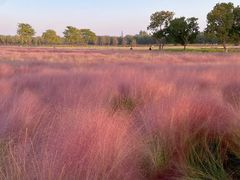 -汉长安城未央宫国家考古遗址公园
