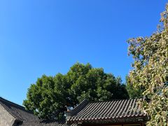 -张学良旧居陈列馆