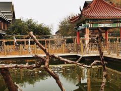 -呀路古热带植物园