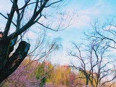 -元大都城垣遗址公园