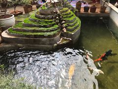 -红河印象美食文化酒楼(强盛路店)