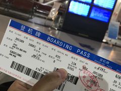 -西双版纳原始森林公园