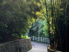 -晓港公园