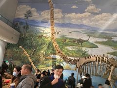 -自贡恐龙博物馆