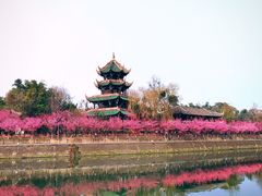 -望江楼公园