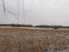 -大兴滨河森林公园