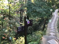 -庐山恋影院(河西路店)