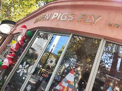 -WHEN PIGS FLY当猪飞