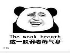 盛京一禾-盛京一禾