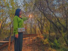 -盘龙城国家考古遗址公园