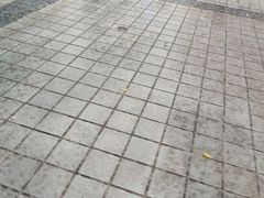 -鸿顺老铁锅美蛙鱼府(解放碑店)