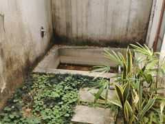 -候鸟水榕庄度假酒店