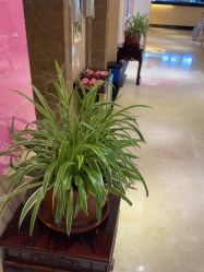 -北京俪婴妇产医院(朝阳大悦城店)