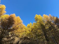 -苏木山森林公园