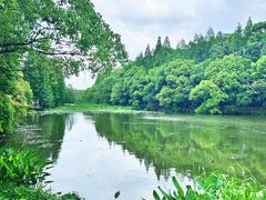 -尚湖风景区