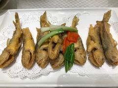 -清心茶楼·传统中山石岐菜