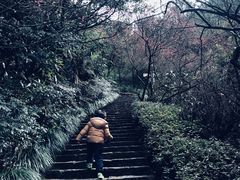 -遂昌金矿国家矿山公园