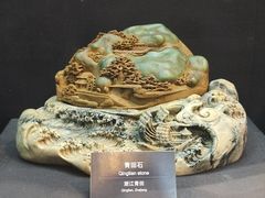 -烟台自然博物馆