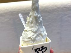 -野人先生现做冰淇淋(北京顺义祥云小镇店)
