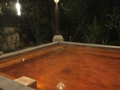 -天目湖涵田半山温泉