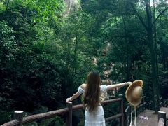 -赤水丹霞旅游区·大瀑布