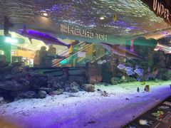 -凯德广场(学府店)