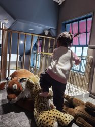 -奈尔宝·儿童乐园·亲子餐厅(华采天地店)