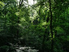 -紫霞湖公园
