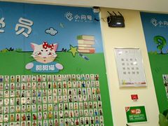 -小问号·科学启蒙·逻辑思维·阅读素养·口才演讲(杨浦合生汇中心)