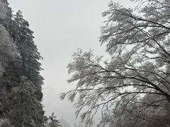 -洛阳白云山景区