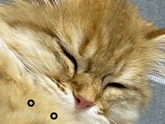 -全家便利店(中原二店)