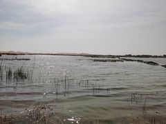 -亿利库布其七星湖沙漠生态旅游区