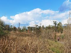 -眉山湿地公园(东坡区)