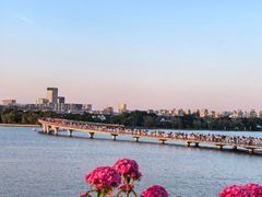 -金鸡湖景区