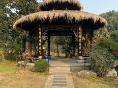 -东湖落雁景区