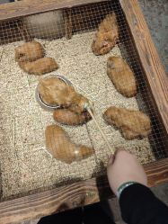 -酷嗒动物文化乐园(cutezoo西溪乐天城店)