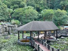 -明月山天沐温泉度假村