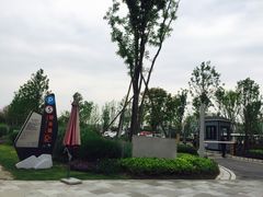 停车场-桤木河湿地公园