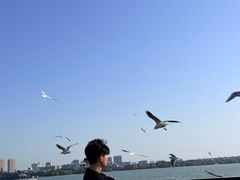 -蠡湖大桥公园