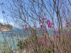 -三亚西岛海洋文化旅游区