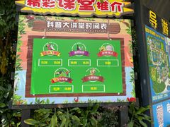 -广州长隆飞鸟乐园