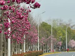 -杨高南路(地铁站)