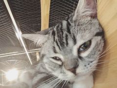-猫和宫(六道口店)